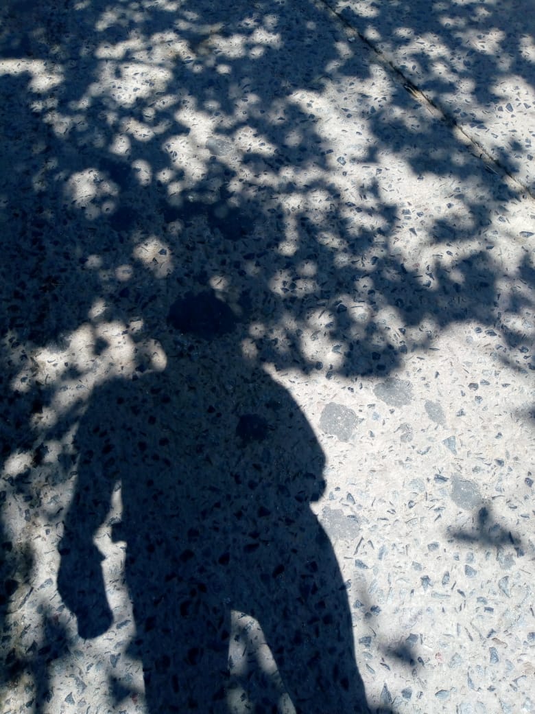 ariel sombra