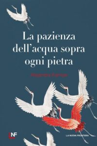 La pazienza dellacqua sopra ogni pietra